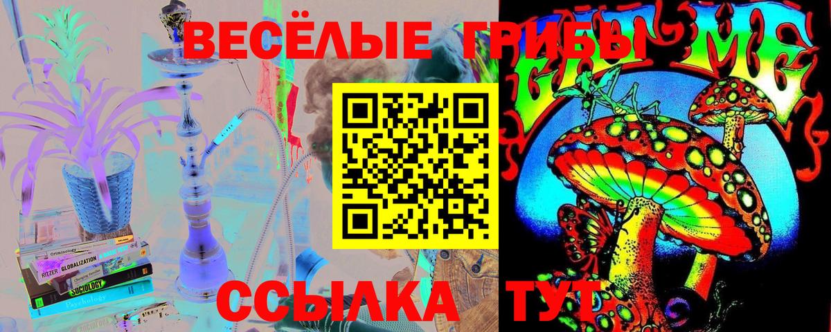 Галлюциногенные грибы Psilocybe  Галлюциногенные грибы Psilocybe  Похвистнево  Вход с VPN 