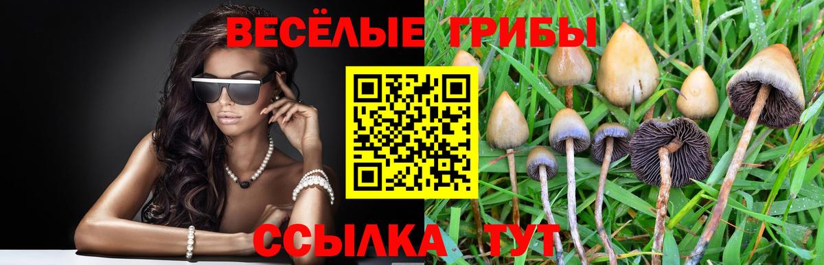 Псилоцибиновые грибы Magic Shrooms Похвистнево